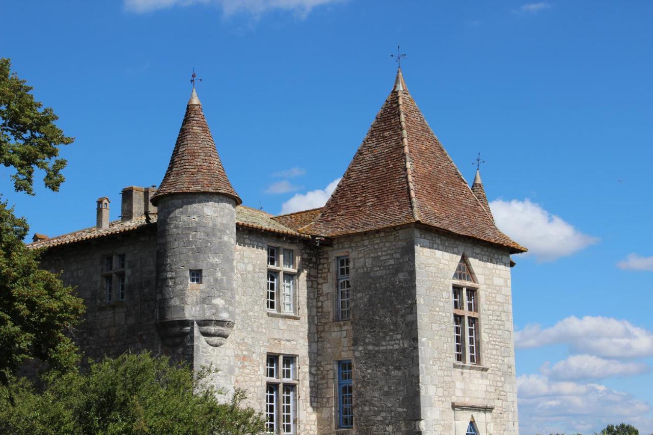 Gites Du Chateau De Panisseau Thenac  Bagian luar foto
